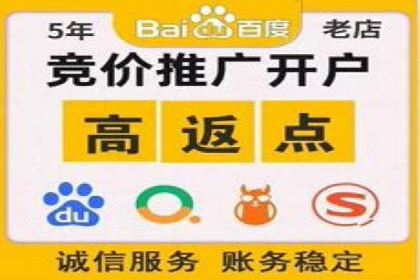百度竞价推广代运营经典案例分析